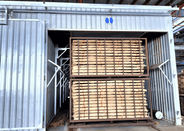softwood dry kiln bamboo